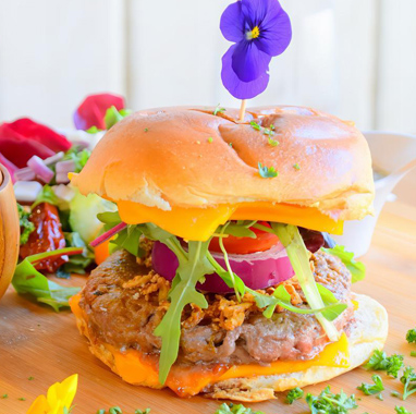 burger gourmet